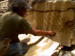 A Tarapoto, un manatí, 2011