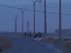 Cayuco, Sillage Oujda/Mellida, 2012