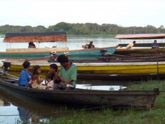 A Tarapoto, un manatí, 2011