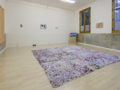 El cuerpo fragmentado: polvo debajo de la alfombra / The Fragmented Body: Dust Below the Carpet