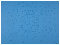 Fontana azul
