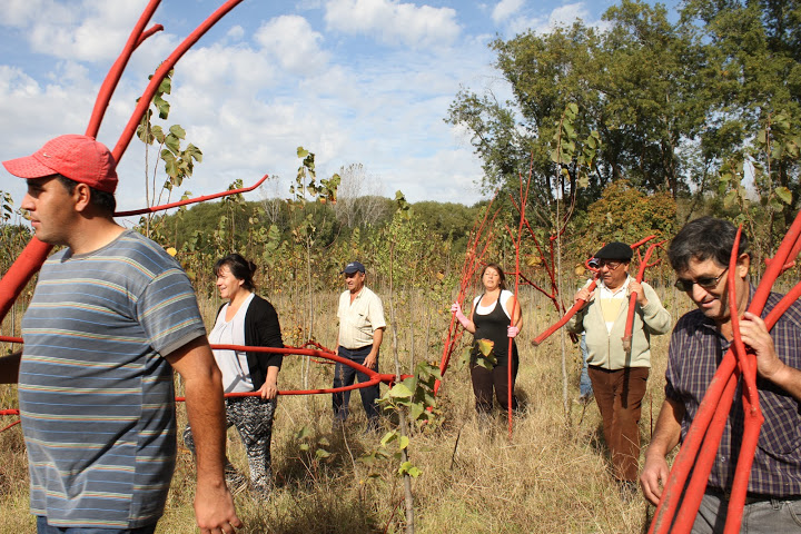 Centro Rural de Arte