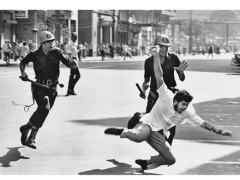 Pop, Realisms And Politics. Brazil - Argentina, 1960s.