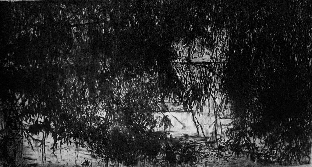 Study for the construction of a landscape, the Zempoala lagoon, 2012