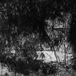 Study for the construction of a landscape, the Zempoala lagoon, 2012