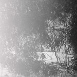 1_Estudio para la construcción del paisaje de la laguna de Zempoala, 2012 - copie