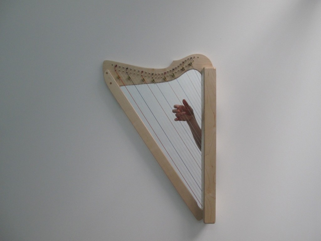 Communitas (Wall / Harp), 2012