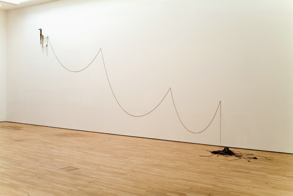 Wing Beats, 2006