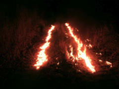 Mensajes (ﬁre), 2007-2011