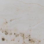 La cosmologia del poroto, Dibujos