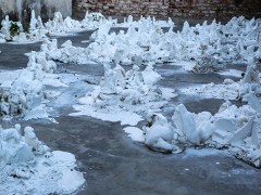 La cosmologia del poroto, instalacio, 2014