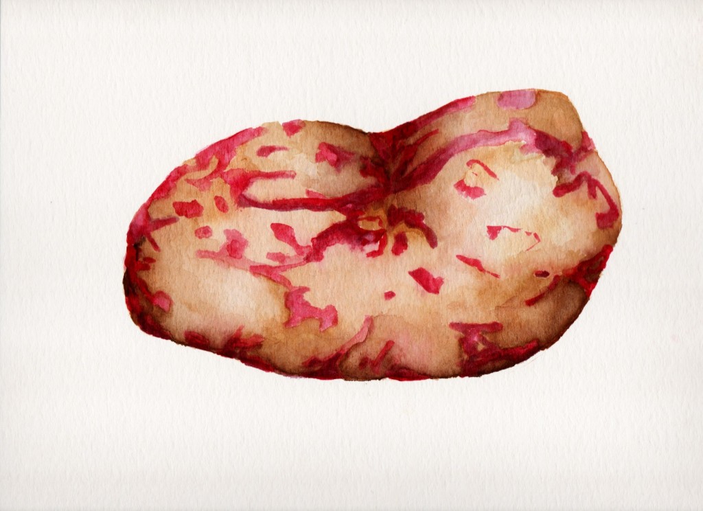 Banquete de Papas