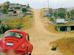 Francis Alÿs