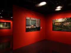 "Nocturnes colombie, images contemporaine"