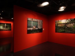 "Nocturnes colombie, images contemporaine"