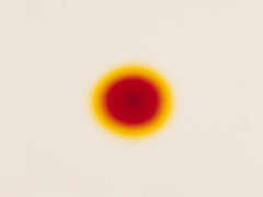 Sleep Light ( Vital Fluid)