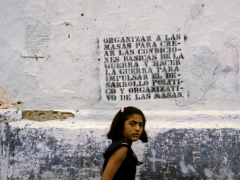 Marcelo Montecino, Managua, 1979.