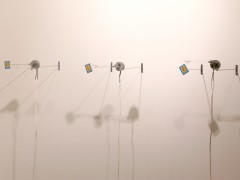 Adriana Salazar, Daring machine, kinetic installation, 2008