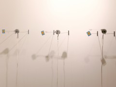 Adriana Salazar, Daring machine, kinetic installation, 2008