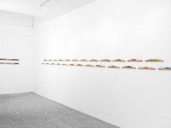 Accumulations