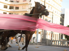 Jonathas de Andrade, O Levante (The Uprising), 2012