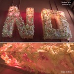 Untitled-2013(NO hecho de flores e iluminado)
