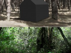 Outside the forest, 2013 (video)