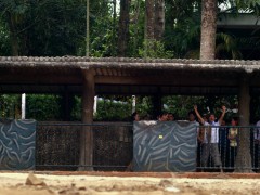 The Propeller Group, The Guerrillas of Cu Chi, 2012