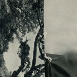 Untitled No.1 (Book 9). Collage VII.