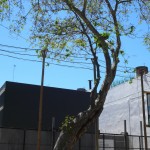 Barrio de las Artes