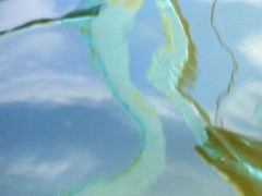 Liquid Wall