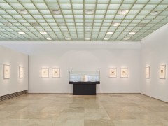 Pictures of the Gallery