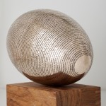 Javier Toro Blum