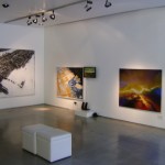 Exposición A vuelo de pájaro en la Galería