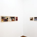 Exhibition View