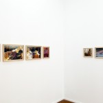 Exhibition View