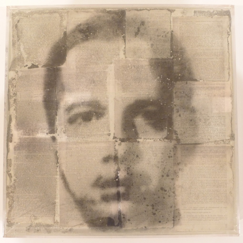 Narcisos (en proceso), 1995–2011