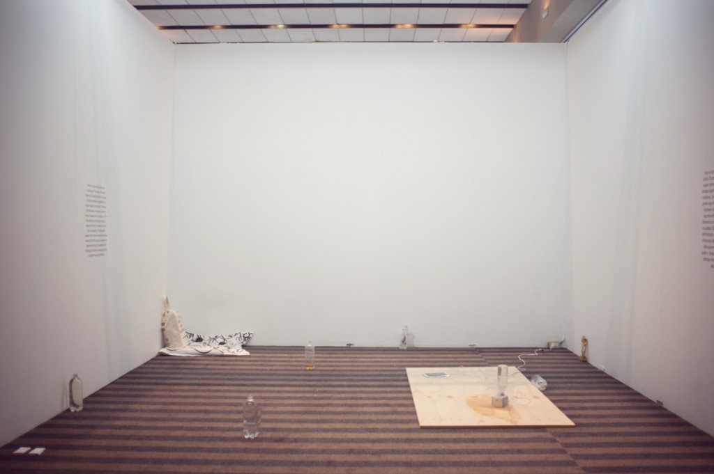 Lodos Contemporáneo (Mexico City).  Work by Noah Barker, Puppies Puppies, and Timothy James Kelly.