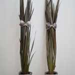 Works by Debora Delmar Corp.