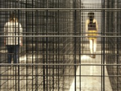 Detour/Desvío, 2014/2013