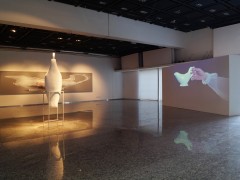 Anamorphosis (general view).