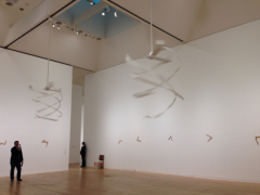 Installation view of "Gabriel Orozco-Inner Cycles"