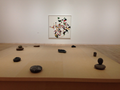 Installation view of "Gabriel Orozco-Inner Cycles"