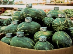 Cats and Watermelons