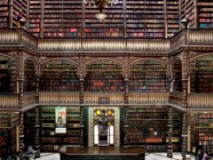 Real Gabinete, Rio de Janeiro, Salas de Lectura