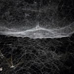 Tomás Saraceno - Arachnid Orchestra, Jam Sessions. Photography by Studio Tomás Saraceno, © 2014
