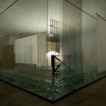 Cildo Meireles