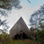 Galeria Miguel Rio Branco