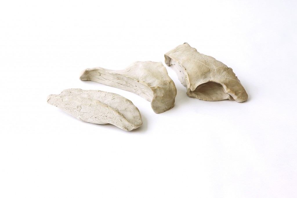 The Anatomy of the Landcape
Bread Bones, series