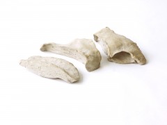 The Anatomy of the Landcape
Bread Bones, series